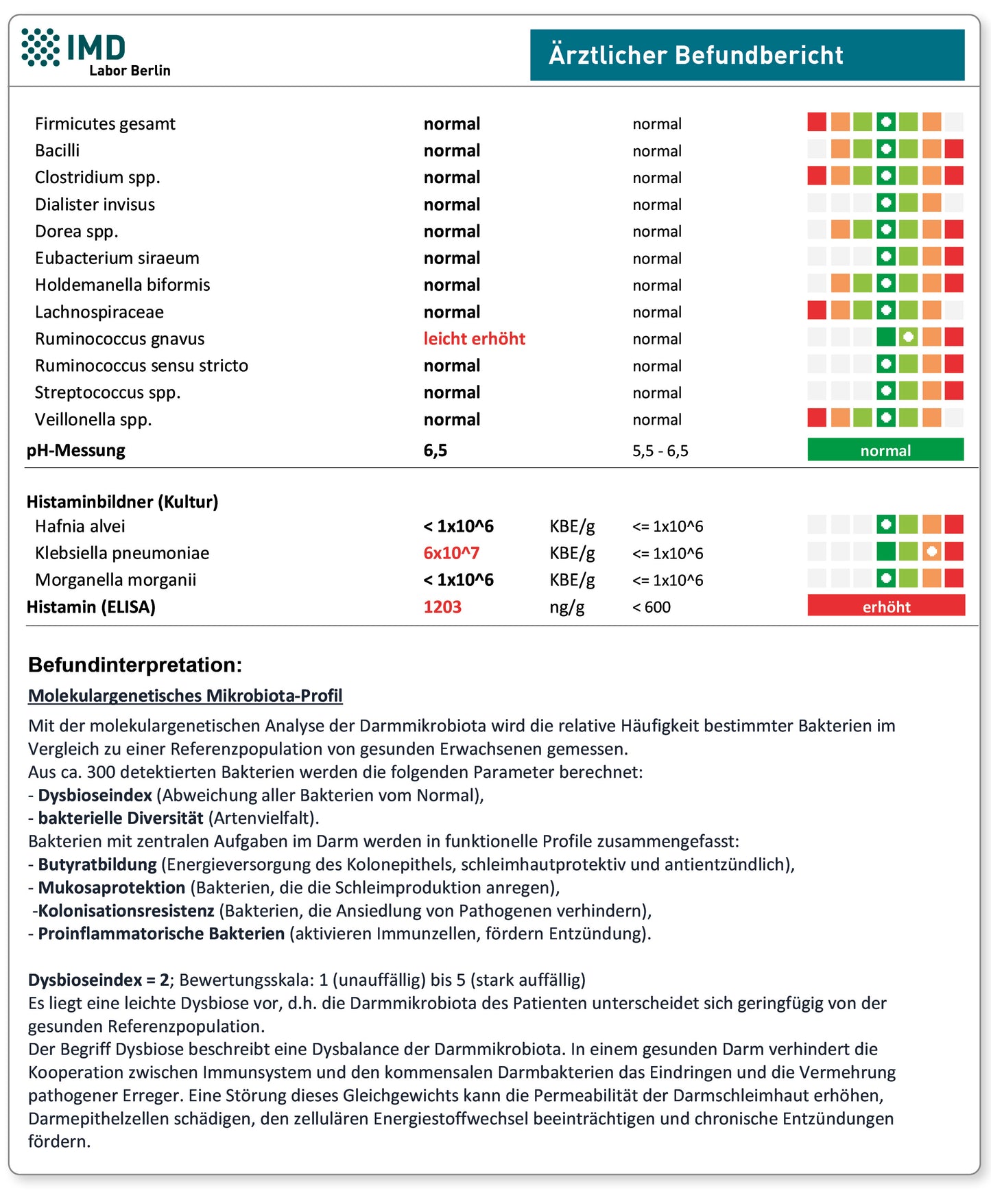 Check-Up Darm - Histamin