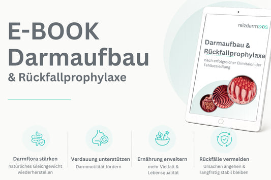 E-Book "Darmaufbau & Rückfallprophylaxe"