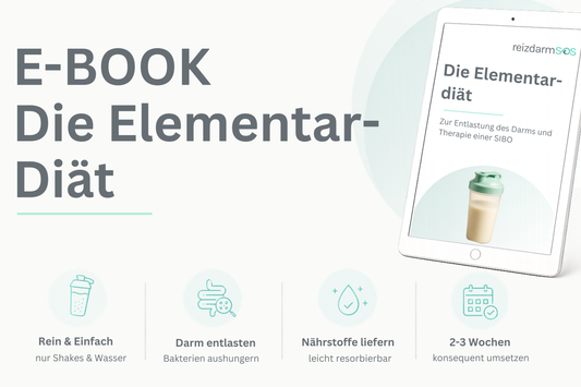 E-Book "Die Elementar-Diät"