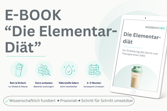 E-Book "Die Elementar-Diät"