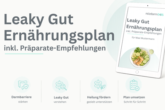 Leaky Gut Plan