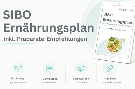 SIBO Ernährungsplan inkl. Präparat-Empfehlungen